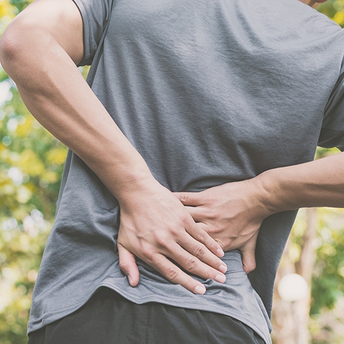 Exercise And Physiotherapy For Osteoporosis