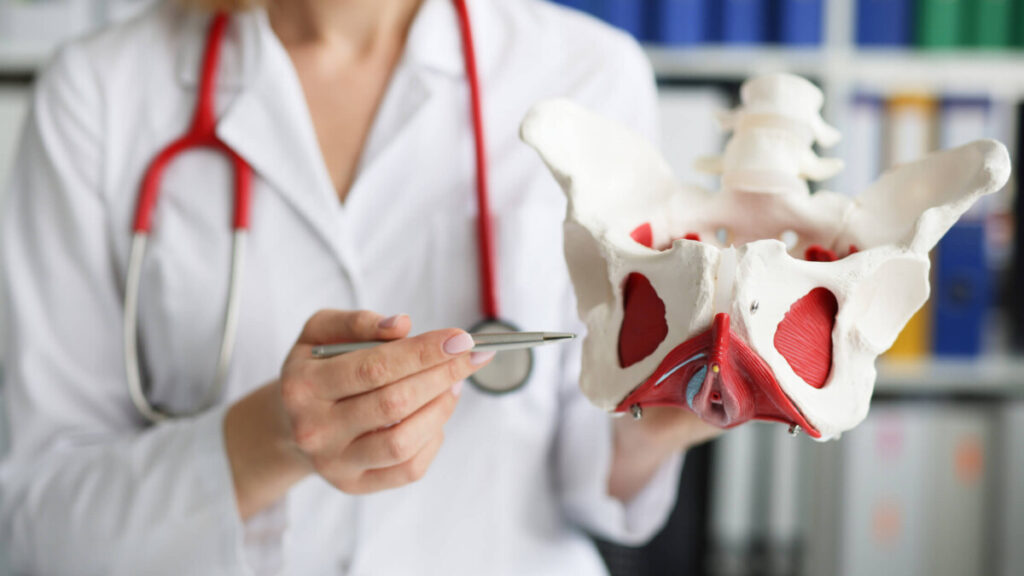 Pelvic floor physiotherapy techniques
