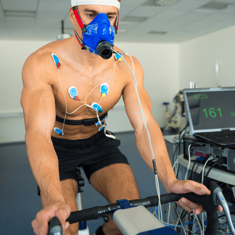 Vo2 Max And Mortality Risk