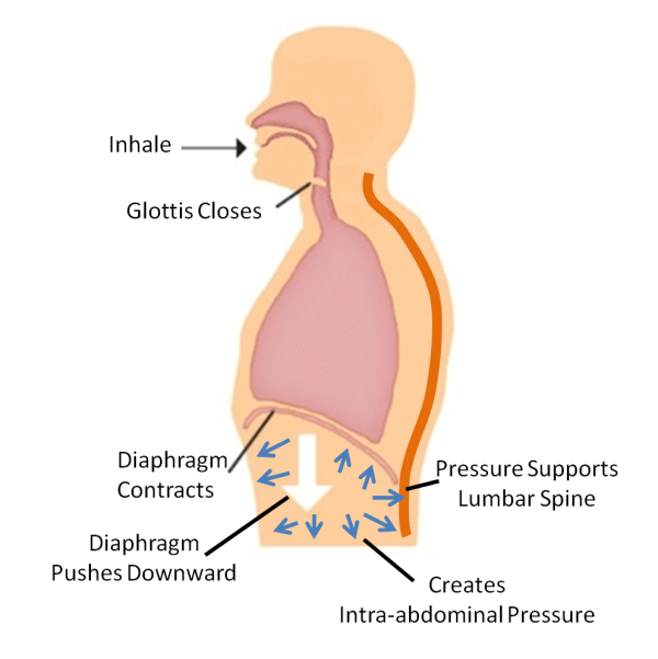 Intra Abdominal Pressure Iap 600X601 1
