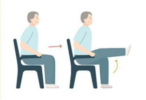 Effective Exercises For Knee Health