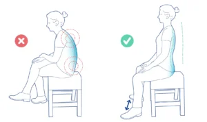Posture &Amp; Movement Education