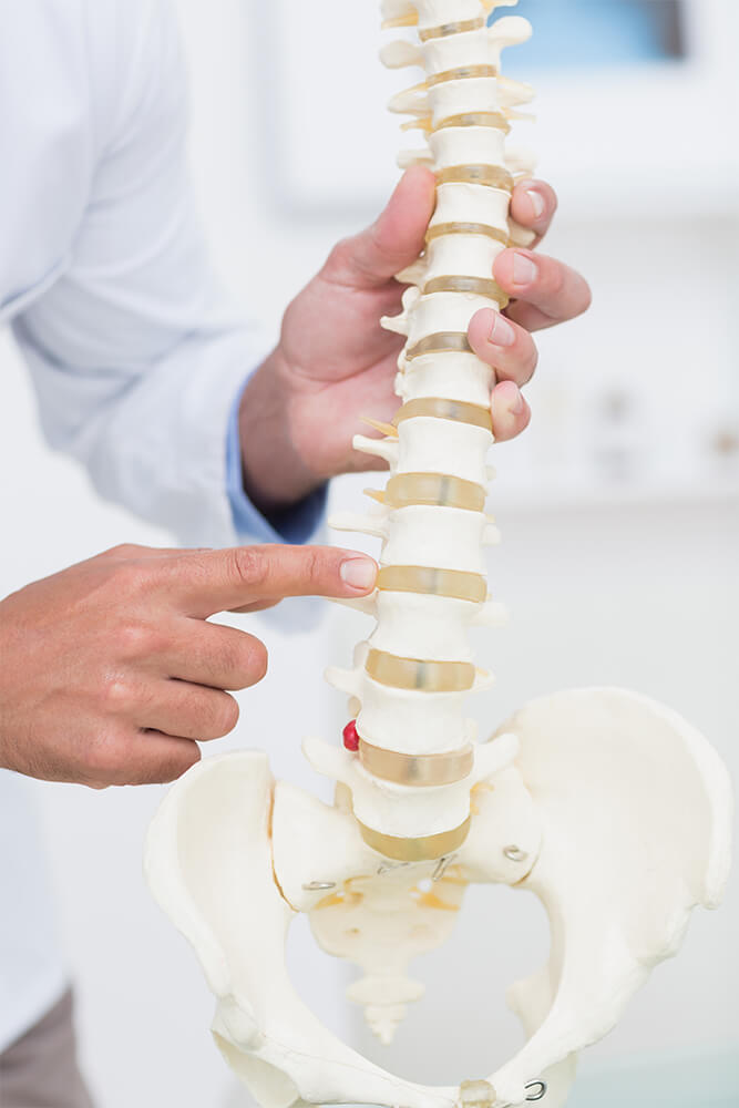 Chiropractic Care Maple Ridge