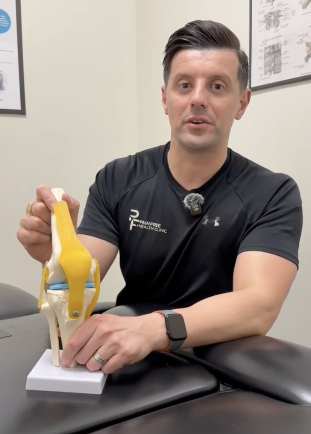 What Is A Total Knee Replacement? Understanding Knee Replacement Surgery 1 Ever Wondered What A Total Knee Replacement Looks Like?